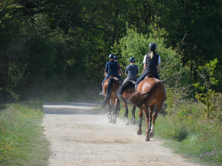 media.Gallery-Territorio_1Marittimo-Riccione