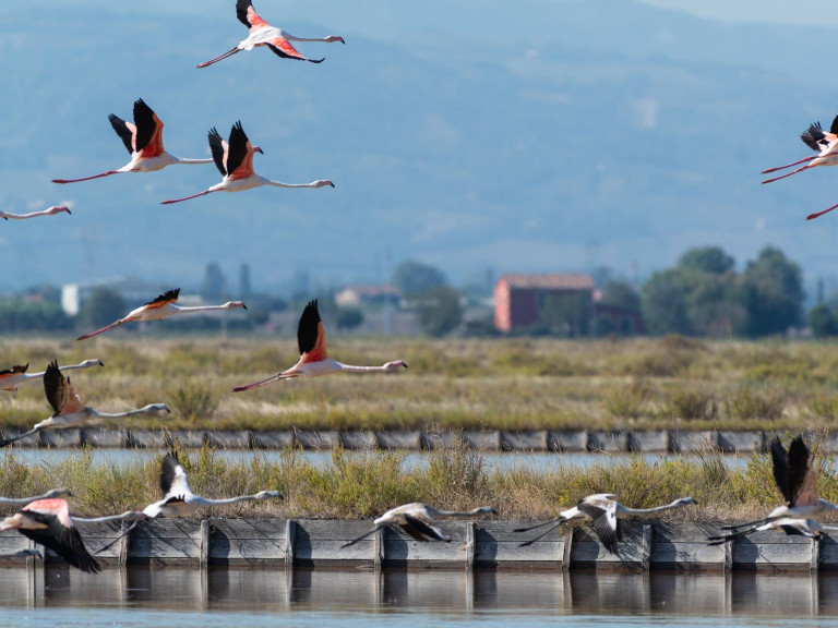 media.Gallery-Territorio_3Marittimo-Riccione